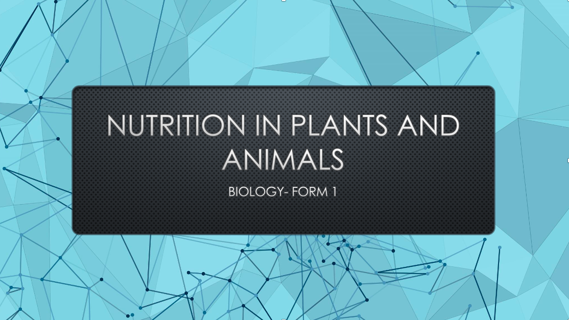 NUTRITION IN PLANTS AND ANIMALS